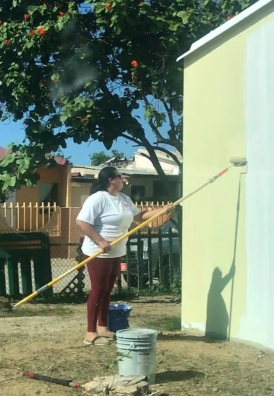 Exterior wall painting